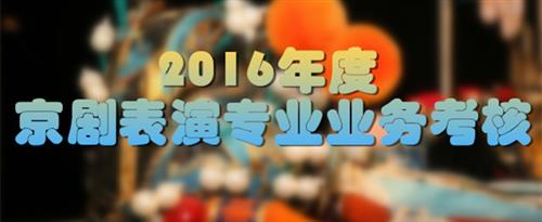 鸡吧骚逼网站国家京剧院2016年度京剧表演专业业务考...